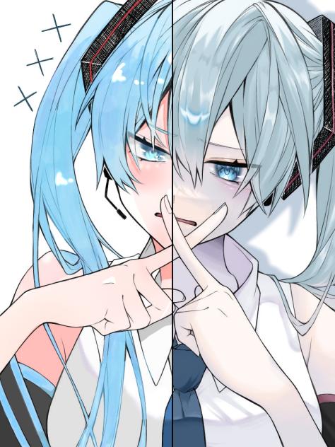 合作させていただきました！！