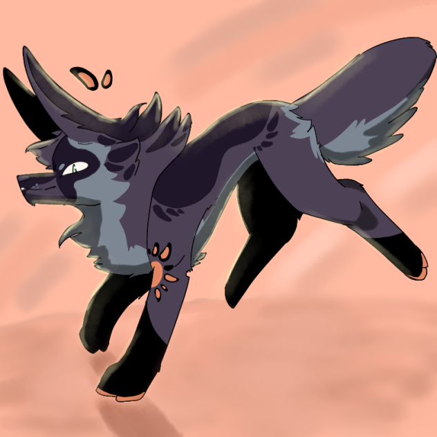 Connor•.