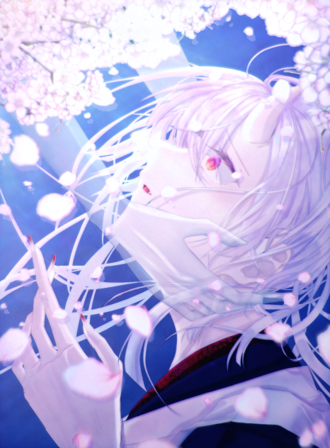 夜桜と再開