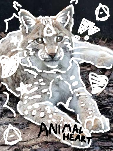 Lynx Therian pfp!