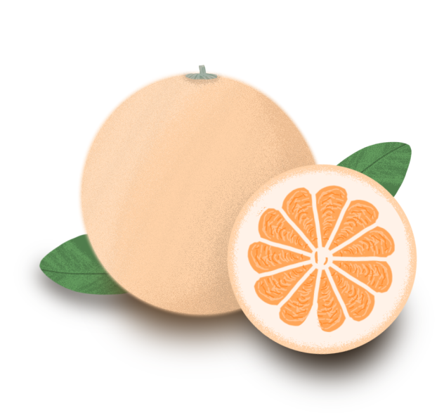 Realistic Orange