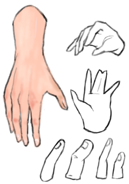 kind draw study 12.7