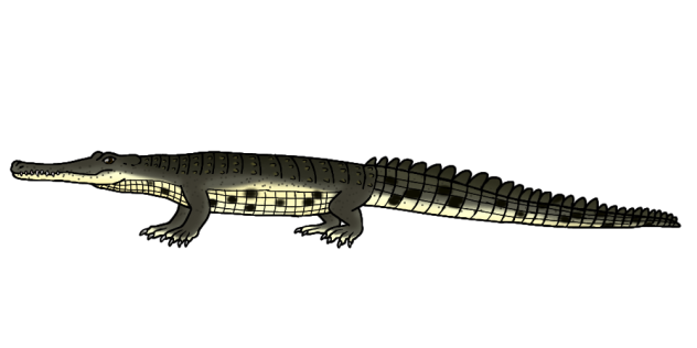 Rhamphosuchus2