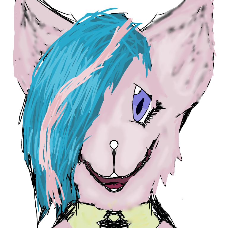 Quick draw - ibisPaint