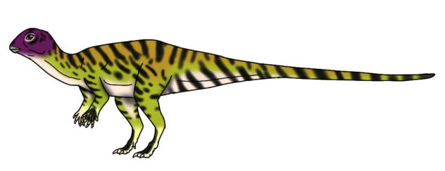 Minimocursur phunoiensis resize2