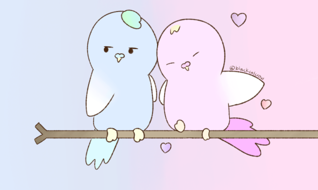 Budgies 잉꼬들♡♡