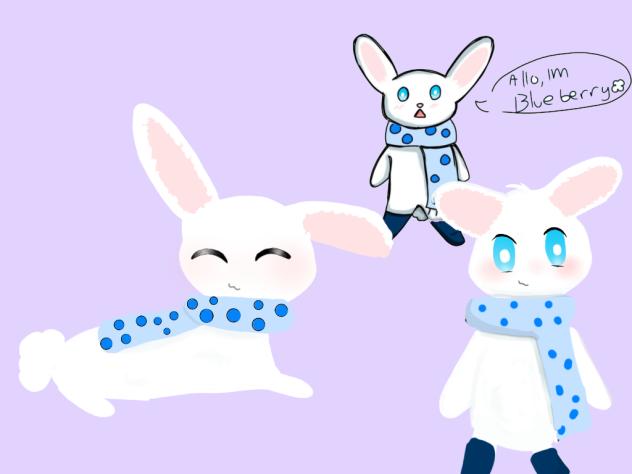 blueberry ♧