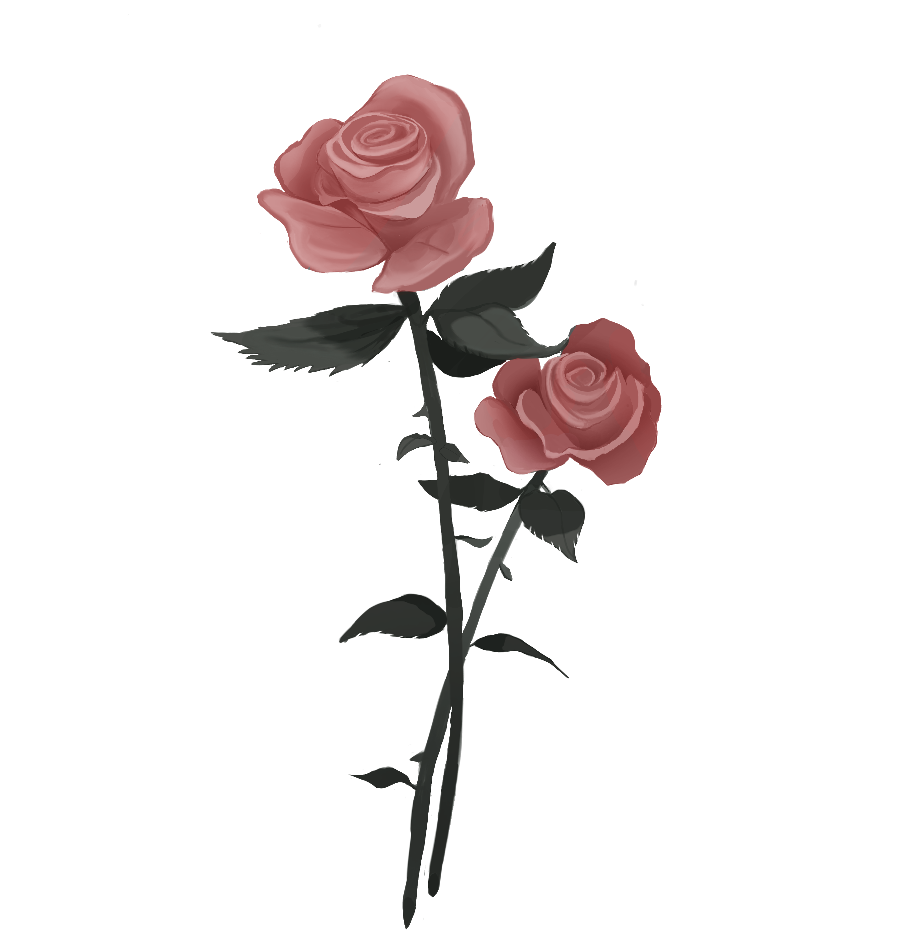 Roses ibisPaint