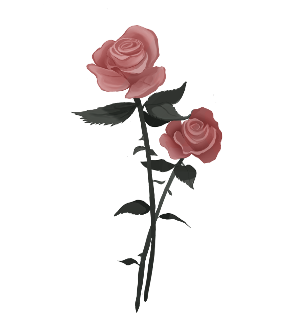 Roses - ibisPaint