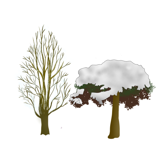 snowy tree