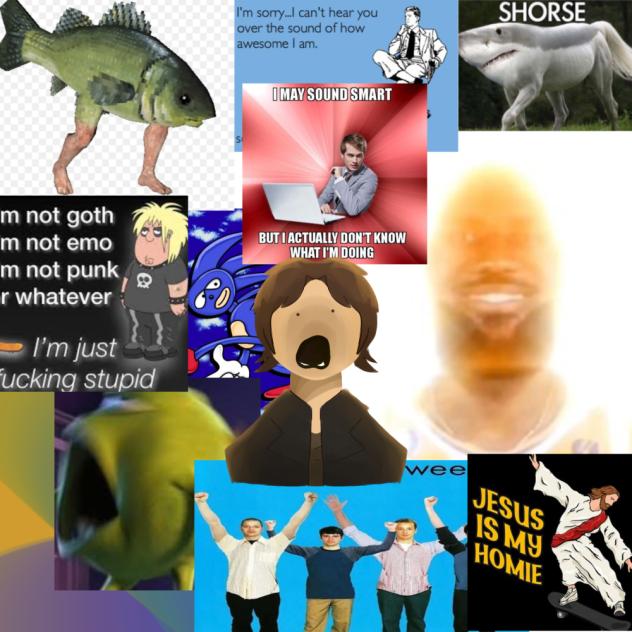 basic summary of my brain