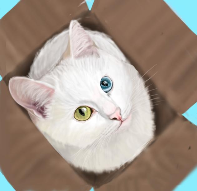👁️HETEROCHROMIA 🧿