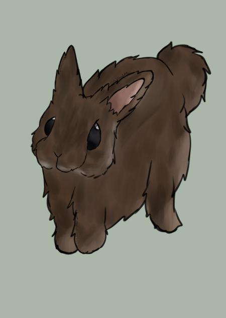 ^ Bunnyyyy ^