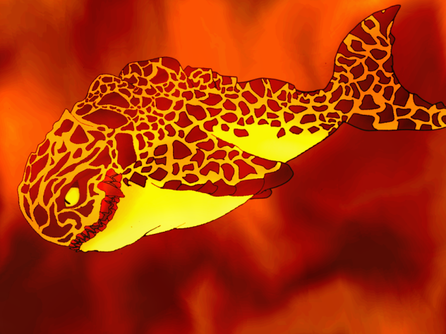 Magma