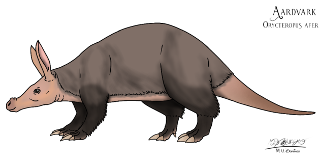 Aardvark