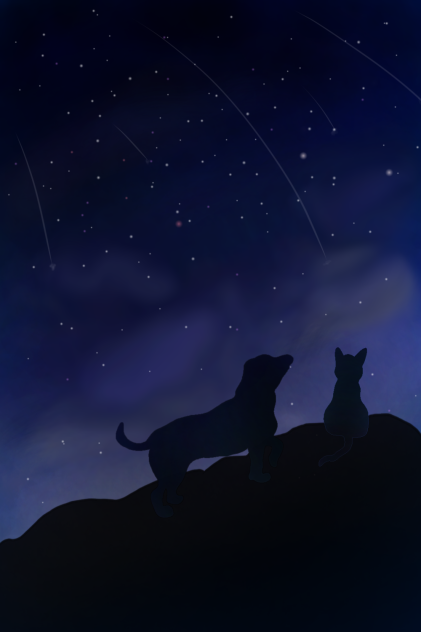 あの日の夜