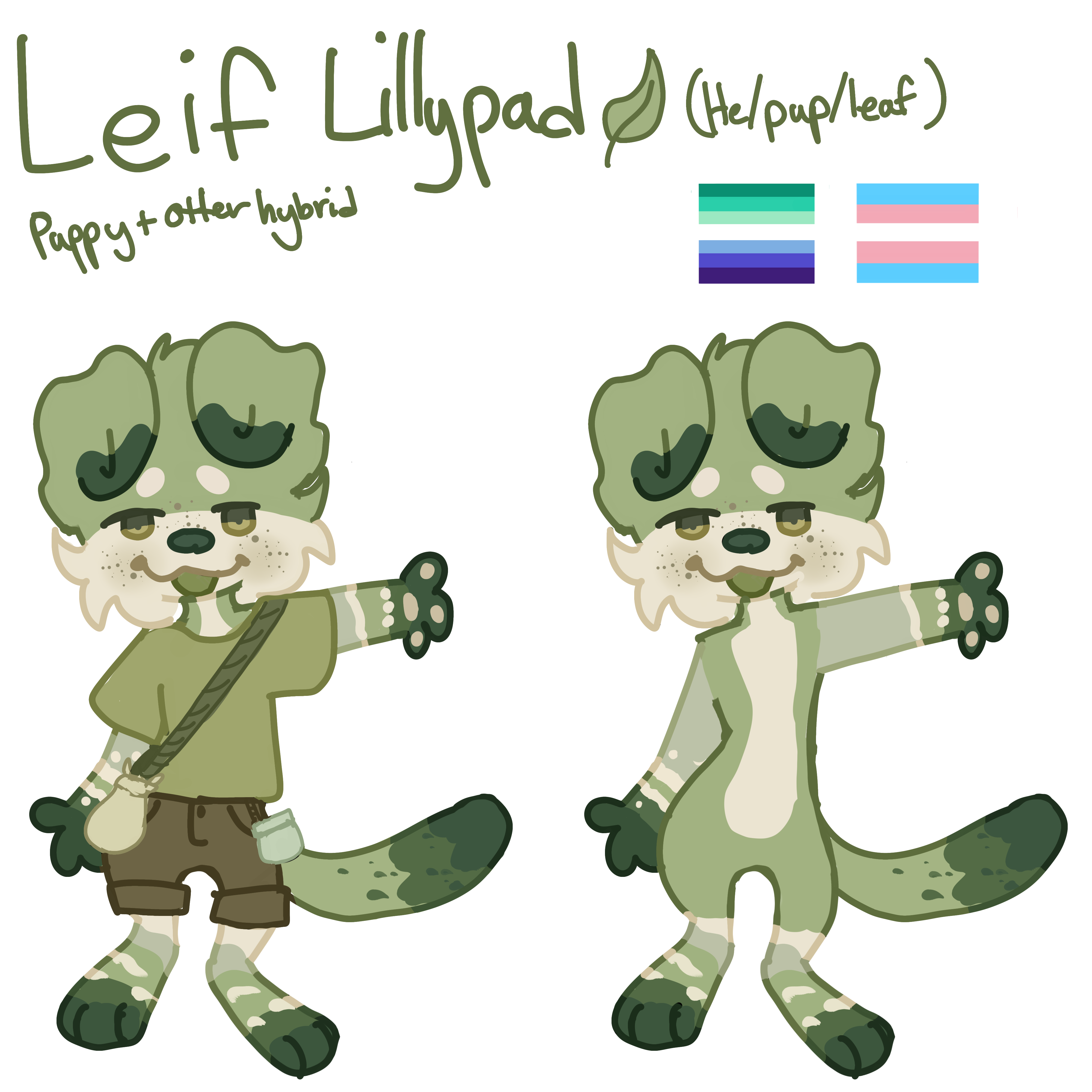 Leif Lillypad Ref sheet - ibisPaint