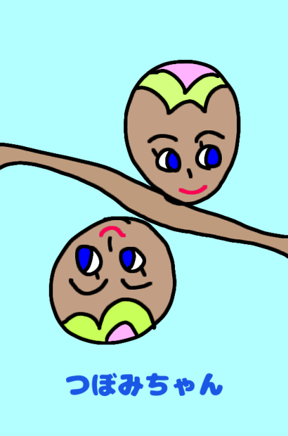 つぼみちゃん