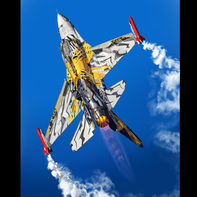 The X Tiger F16s ibisPaint