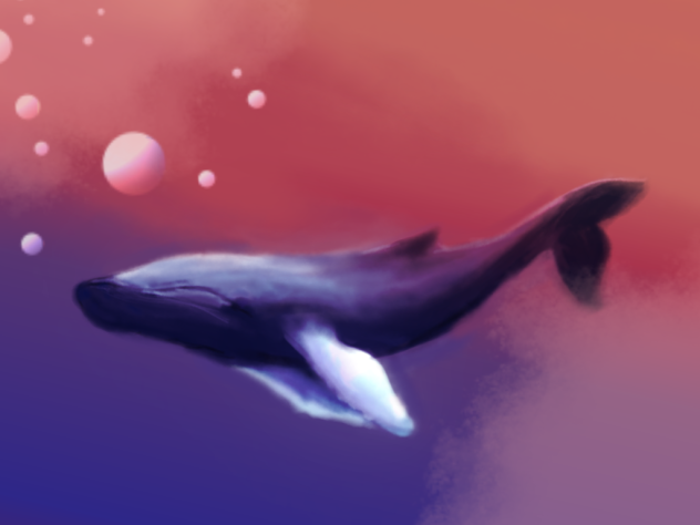 고래 whale
