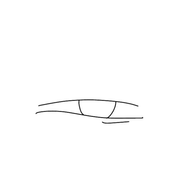 Animation test - ibisPaint