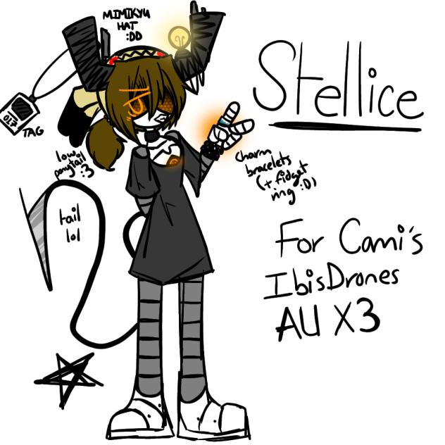FOR CAMIS IBISDRONES AU