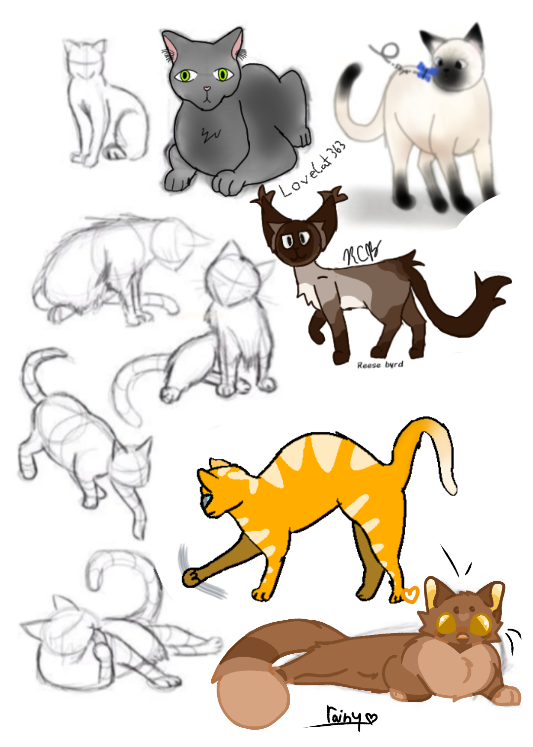 cat collab - ibisPaint