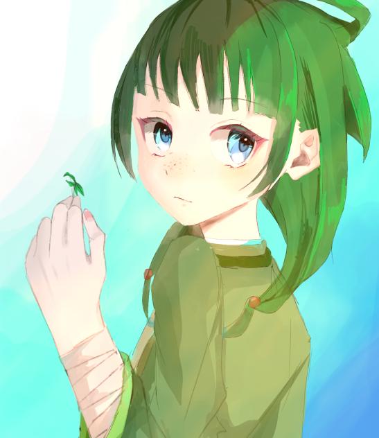 猫猫