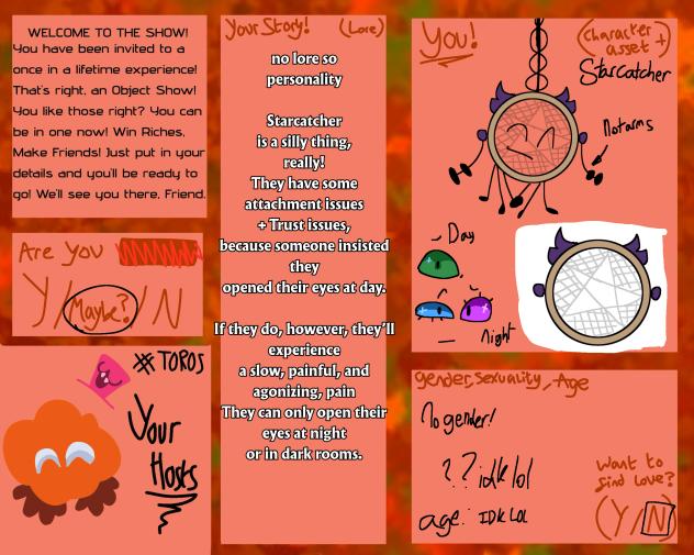 Starcatcher the Dreamcatcher