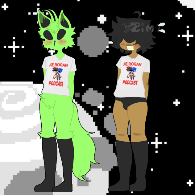 fursona and persona