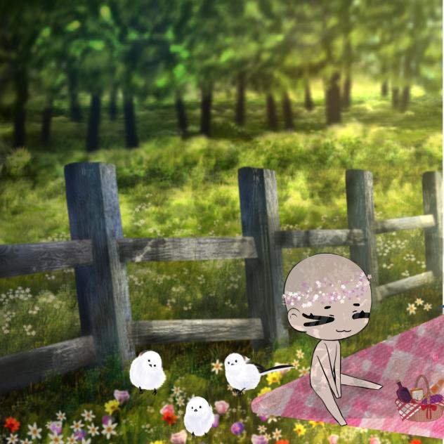 Picnic day!
