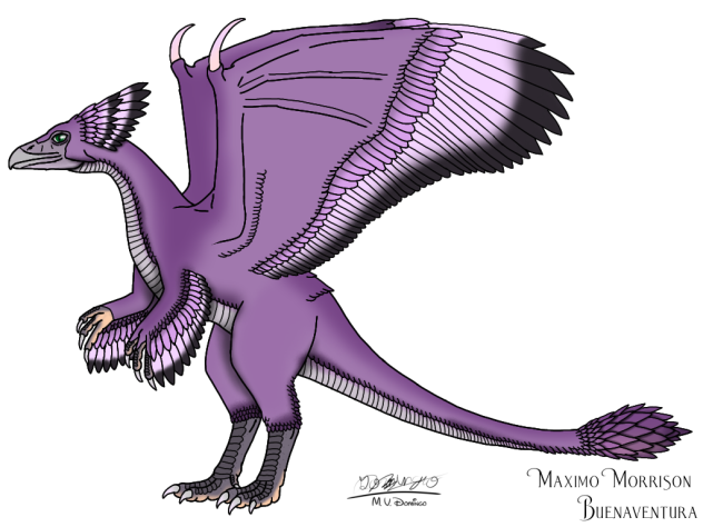 Maximo Morrison Buenaventura