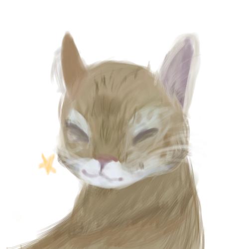 Kitty ✨✨
