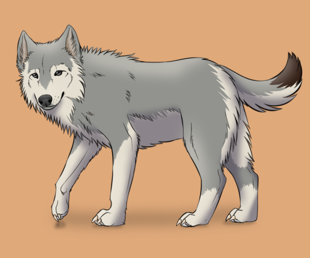 Timber - ibisPaint