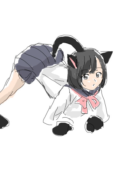 例のポーズネコ