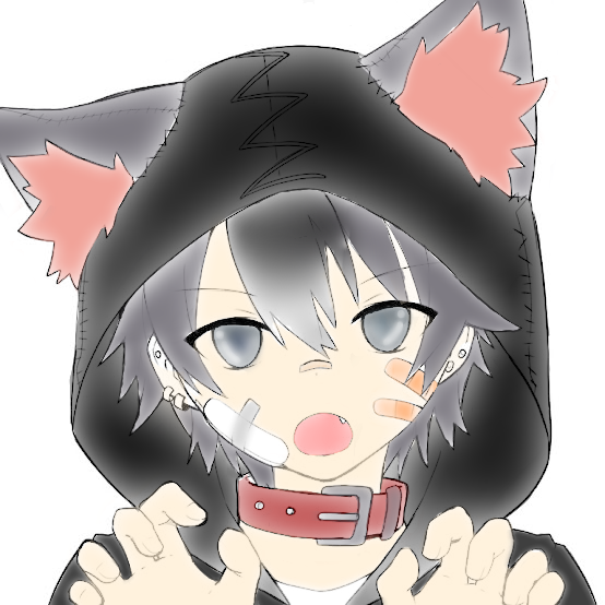 猫君