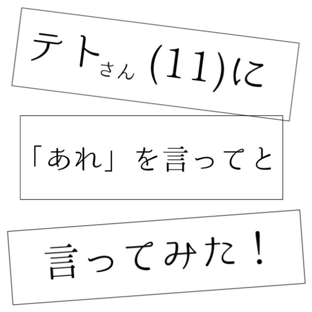 テトさん(11)に「あれ」を言ってと言ってみた！