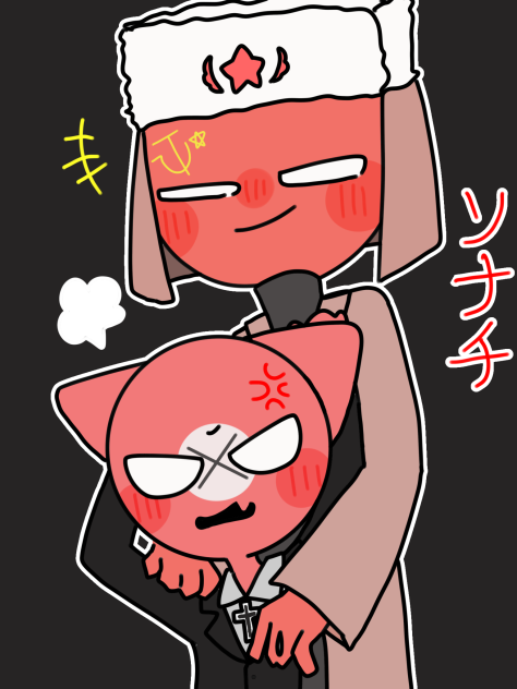 リクエスト③    ソナチ