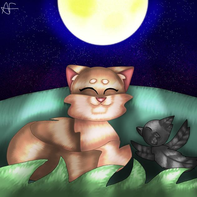 Crow and Kitty Under a Starry Sky