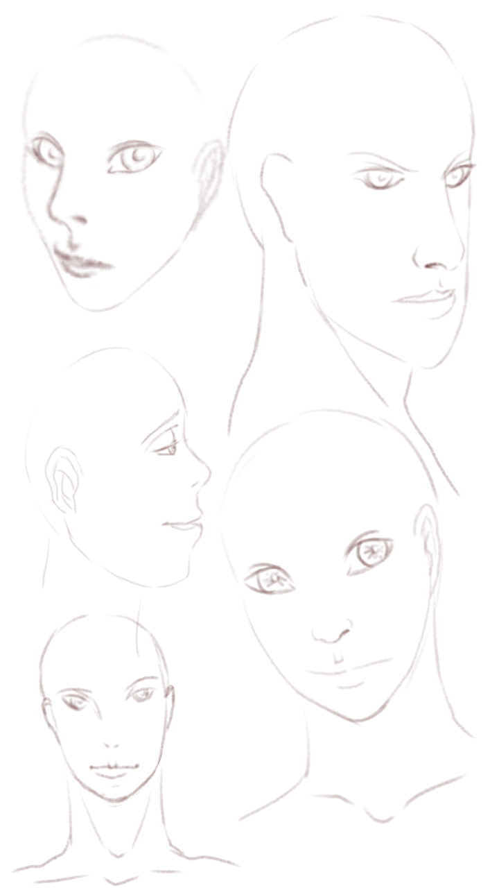 how I faces ibisPaint