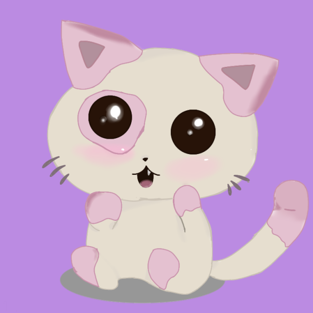 🐈🐈🐈