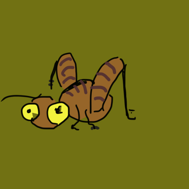 カマドウマ　2