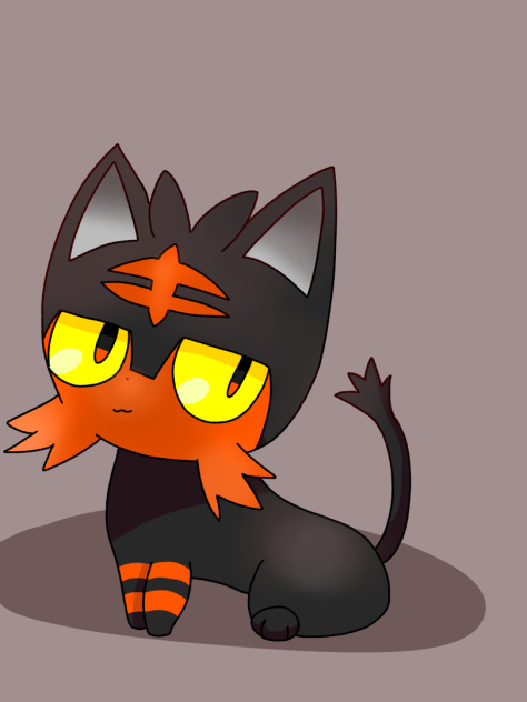 🐱