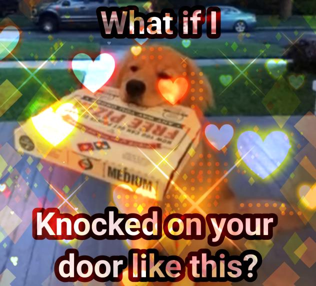 💛🍕Pizza Slice💛🍕