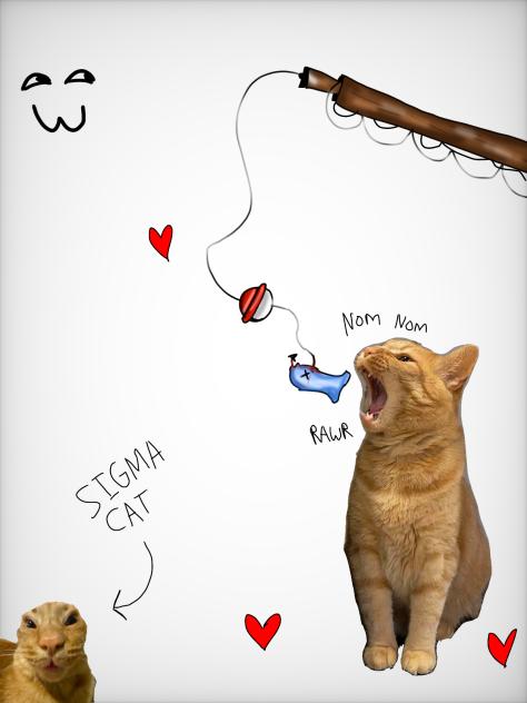 Photoshopping my cat
