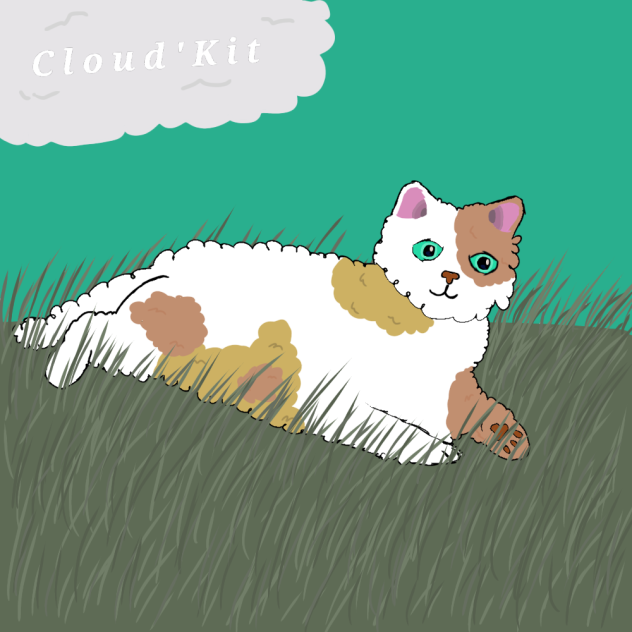 Cloud'Kit