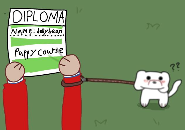 my dog got Diploma