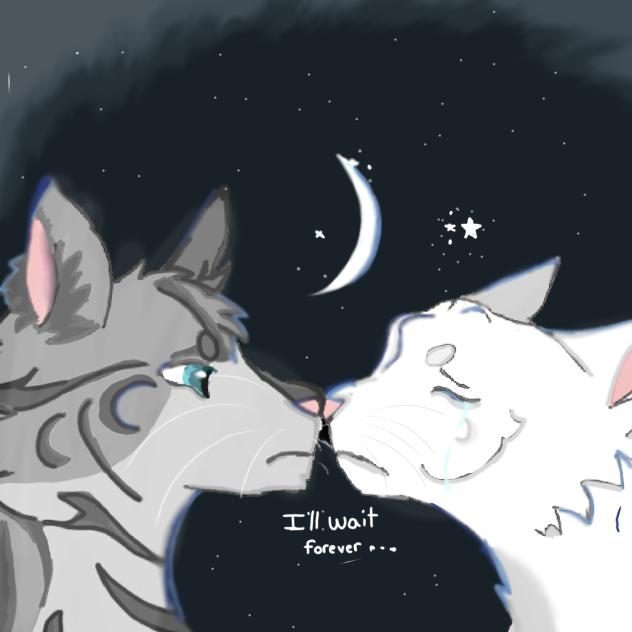 jaywing and halfmoon