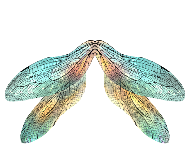 iridescent wings - ibisPaint