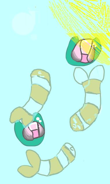 Koi fish - ibisPaint